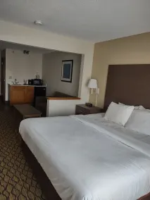 Baymont by Wyndham Auburn - Chambre