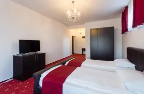 Hotel Elisabeta - Room