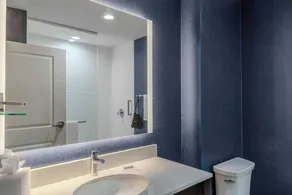 Residence Inn by Marriott Detroit Sterling Heights - Salle de bain