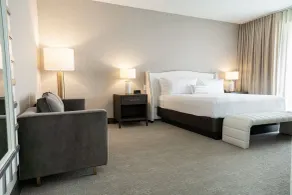 SpringHill Suites by Marriott Chicago Chinatown - Rum