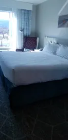 Hilton Garden Inn Colorado Springs Downtown - Room