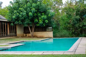 Bushbaby Lodge at Nkonyeni - Pool