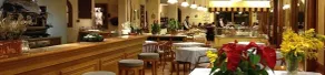 Mas de Vence - Hotel-Restaurant - Restaurant