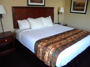 Pocahontas Inn & Suites - Værelse