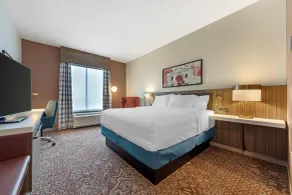 Hilton Garden Inn Media Philadelphia - Room