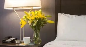 Hampton Inn by Hilton Ottawa Airport, ON, CN - Room