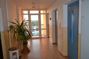 Apartment Alejní - Interior entrance