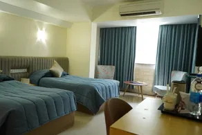 Hotel Diplomat, Colaba - Room