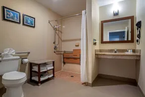 Comfort Suites Mobile West Tillmans Corner - Salle de bain