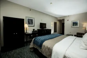 Comfort Inn Mount Airy - Chambre