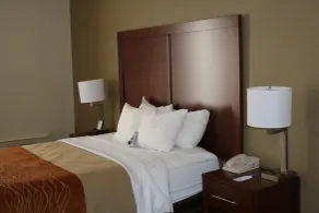 Comfort Inn Binghamton I-81 - Chambre