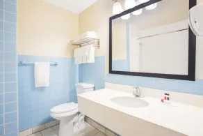 FairBridge Inn Express Buffalo Airport Williamsville - Salle de bain