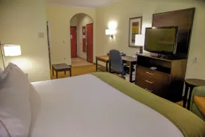Holiday Inn Express Hotel & Suites Houston North Intercontinental by IHG - Room