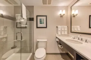 Hilton Garden Inn Irvine/Orange County Airport - Chambre