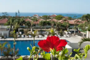 Kanucha Bay Hotel & Villas - Vue de la chambre