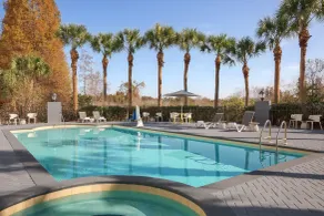 Hilton Garden Inn Tampa North Busch Gardens - Pool