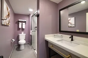 The Northshore Hotel - Boston/Danvers - Badrum