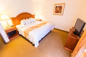 Quality Inn & Suites University - Vue de la chambre