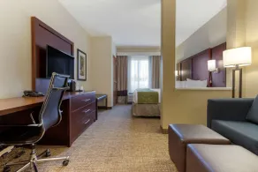 Comfort Suites Piedmont - Greenville South - Chambre