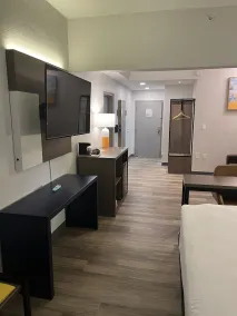 Comfort Suites Clearwater - Dunedin - Vue de la chambre