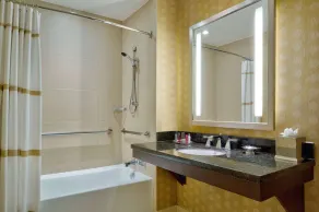 Wyndham Atlanta Buckhead Hotel & Conference Center - Bathroom
