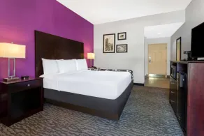 La Quinta by Wyndham Tampa Bay Area-Tampa South - Room