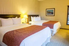 Quality Inn & Suites Downtown - Chambre