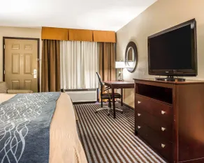 Comfort Inn & Suites Ballpark Area - Chambre