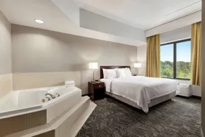 SpringHill Suites Dulles Airport - Chambre