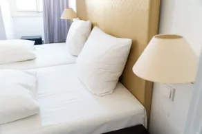Hotel zum Ritter St Georg - Oldest Residential Building in Heidelberg since 1592 - Chambre