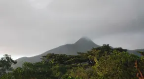 Tanna Lava View Bungalows - View from room