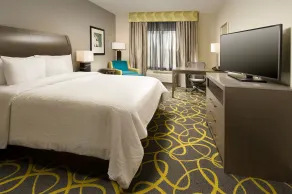Hilton Garden Inn College Station - Chambre