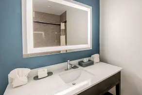 La Quinta by Wyndham Dalhart - Salle de bain