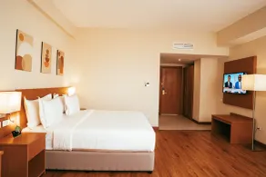 AYA Addis Hotel - Room