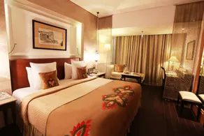 The Ashok, New Delhi - Room