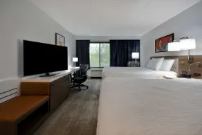 Hilton Garden Inn Detroit Metro Airport - Chambre