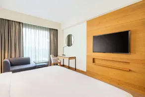Radisson Hotel Vrindavan - Room