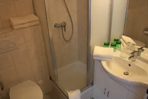 Landhotel Wolf - Baño