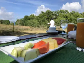 Big Game - Wilpattu by Eco Team - Restaurant