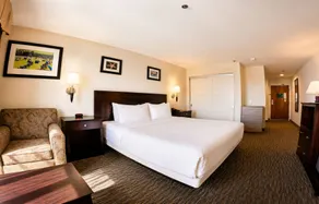 The Volare, an Ascend Collection Hotel - Camera