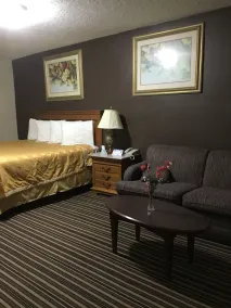 Executive Inn Snyder - Chambre