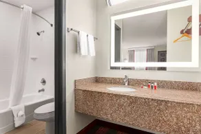  Ramada by Wyndham San Antonio Near SeaWorld/Lackland AFB - Badezimmer