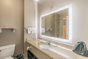La Quinta by Wyndham Granbury - Salle de bain