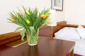 City Hotel in Siegen - Quarto