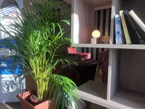 Brit Hotel Baillet-en-France - Reception