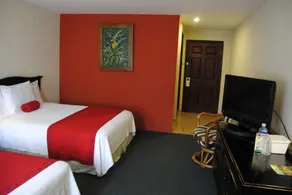 Aparthotel La Cordillera - Room
