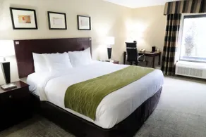 Comfort Inn Southwest Fwy at Westpark - Room