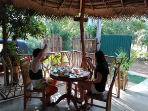 Turtle Paradise - Restaurant