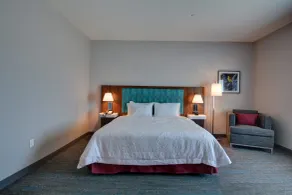 Hampton Inn & Suites Middleburg - Habitación