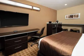 Microtel Inn and Suites Pecos - Chambre